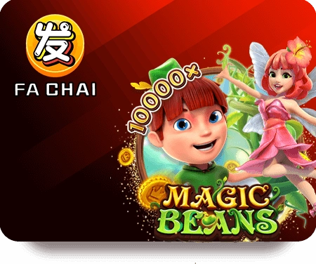 6_fachai